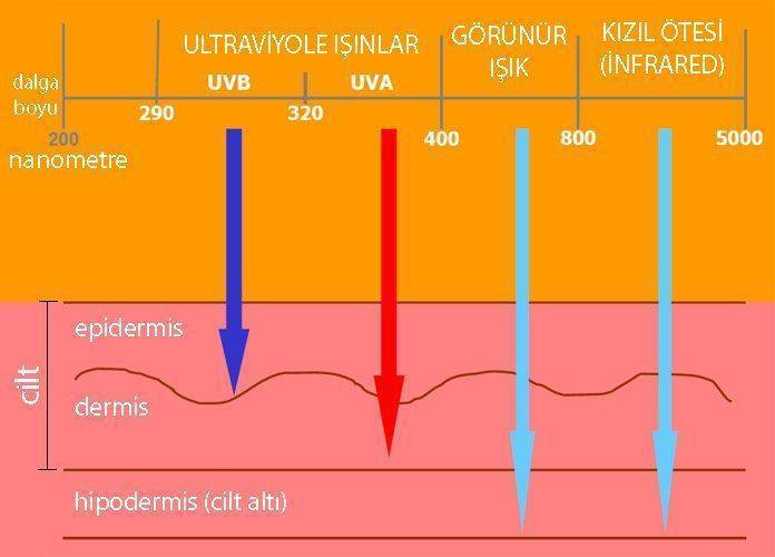 Güneşi seviyoruz, peki yeterince korunuyor&nbsp;muyuz?